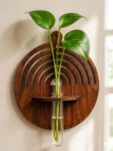 Rainbow Wooden Wall Mounted Propagation Station with Glass Test Tube Vase | Hydroponic…