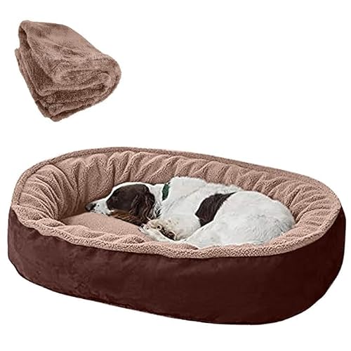 ZENIPUP Premium Dog Bed with Free Blanket for Small, Medium & Large Dogs | Soft Fur Ort…