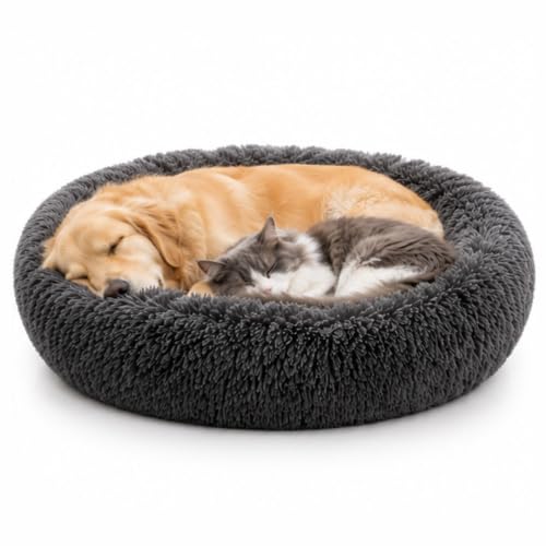 Govind Enterprises Orthopedic Dog Bed Small for Dogs & Cats, Plush Pet Bed with Raised…