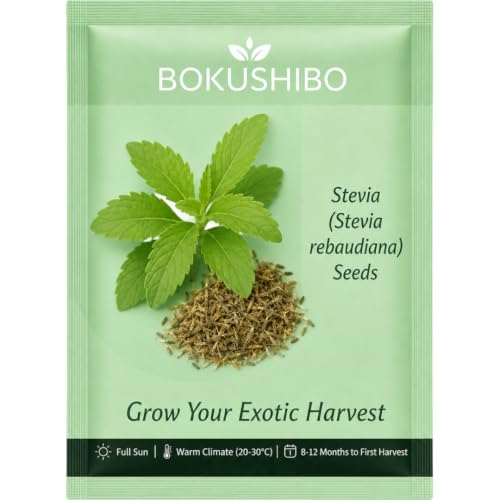 Stevia Seeds (Stevia rebaudiana) for Home Garden (500 mg) | Meethi Tulsi Sweetleaf Herb…