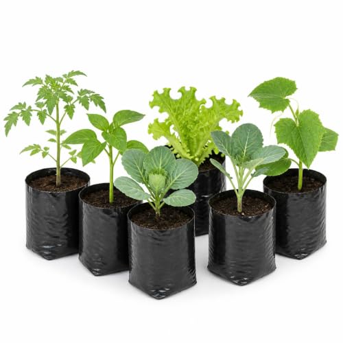 Alagundagi HDPE Nursery Bags 4 x 6 Inches Pack of 100 | Black Plant Grow Bags | UV Stab…