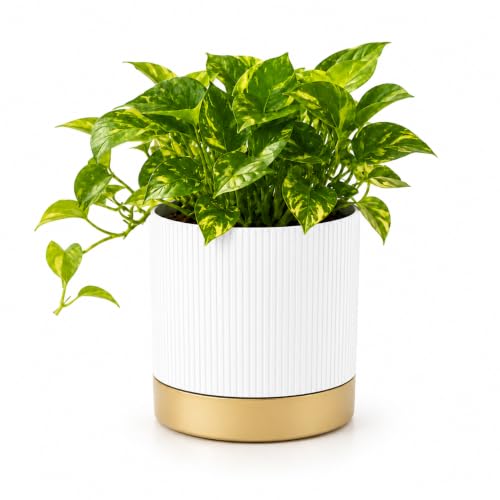 StyleX Store® 7 Inch Pack of 1 Decorative Plastic Flower Pot with Drainage Tray, Modern…