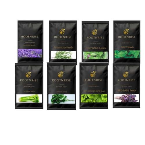balcony bloom by root Herb Seeds Combo Pack | 8 Varieties | 950+ Seeds | Rosemary, Mint…