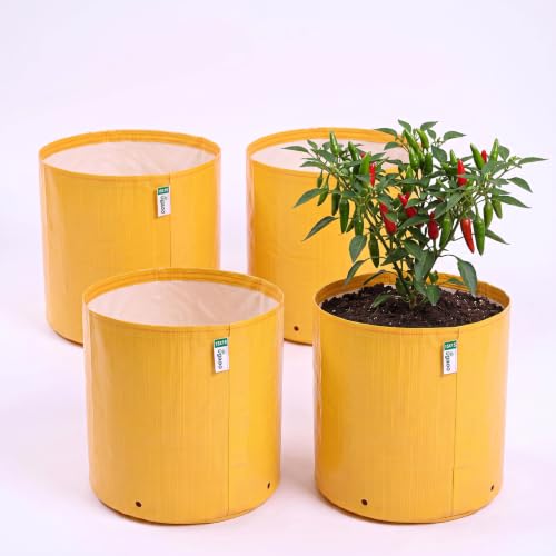 UGAOO Grow Bags 15x15 Inch Set of 4 | 260 GSM Heavy Duty Virgin HDPE Big Size Plant Gro…
