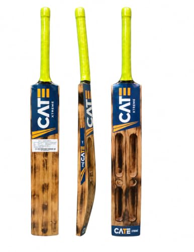 CATEXTREME Burn Fire Scoop Popular Willow Wooden Cricket Bat | Lightweight & Balanced B…