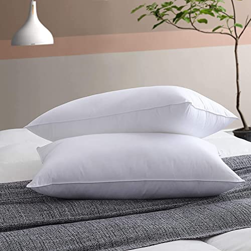 Microfiber Extra Soft White Pillows | Pillows for Sleeping - Pack of 2 (Size - 16x24 In…
