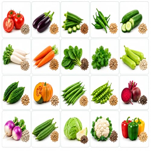 20 Variety Of Vegetable Seeds Combo Pack.
