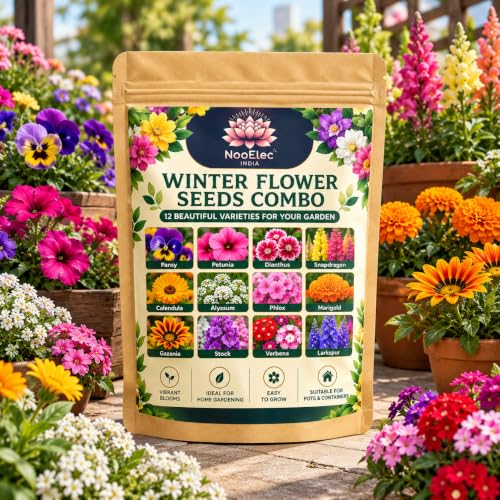 Winter Flower Seeds Combo Pack, 12 Varieties, Home Garden, High Germination